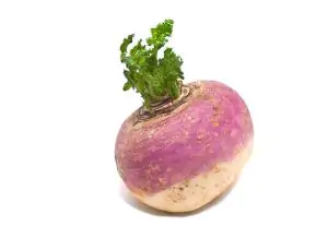 לפת לבנה אורגנית (במשקל)