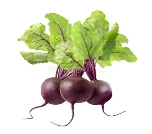 סלק  אורגני בצרור עם העלים