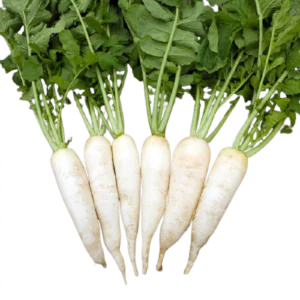צנון לבן דייקון אורגני מחיר יעודכן ביחס למשקל