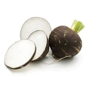 צנון שחור אורגני- מחיר יעודכן ביחס למשקל