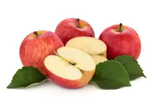 תפוח עץ קנדין אורגני -מחיר יעודכן ביחס למשקל