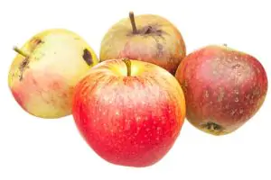 תפוח עץ  גאלה פגום קלות סוג ב  אורגני