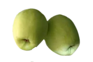 תפוח עץ ענה אורגני- מחיר יעודכן ביחס למשקל