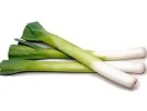 כרישה אורגנית 2 יחידות בצרור
