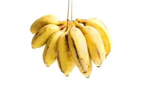 בננה אורגנית- מחיר יעודכן ביחס למשקל