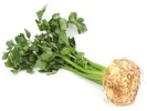 סלרי שורש אורגני