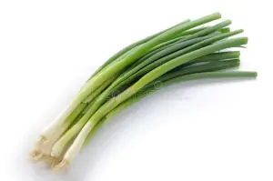 בצל ירוק אורגני