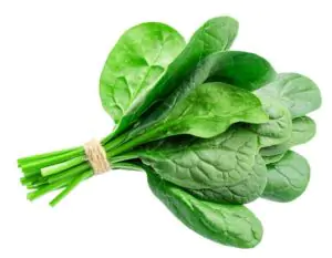 תרד עלים תורכי אורגני