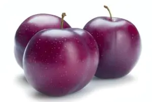 שזיף אדום אורגני