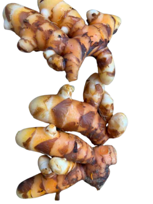 שורש כורכום אורגני 0.15 ק"ג