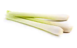 שורש למון גראס אורגני