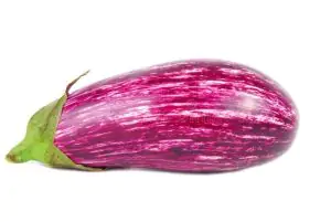 חציל אסייאתי אורגני
