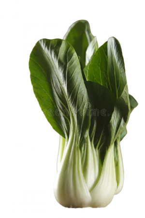 בקצוי אורגני