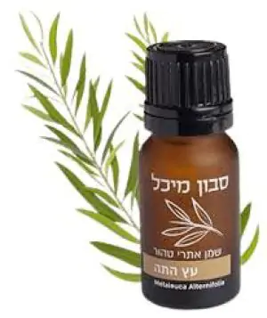 שמן אתרי עץ התה (מיכל סבון טבעי)
