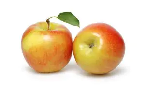 תפוח עץ פינק ליידי אורגני 