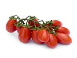 עגבניות שרי תמר אורגניות