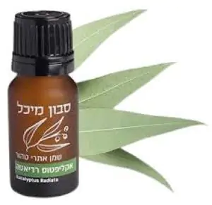 שמן אתרי אקליפטוס רדיאטה - מיכל סבון טבעי