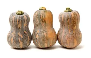 דלורית פסים אורגני