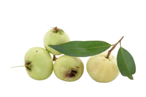 תפוח הורד אורגני כ 250 גרם
