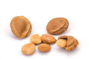 גלעיני משמש אורגני - 200 גרם