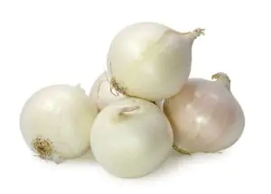 בצל פנינה לבן אורגני 