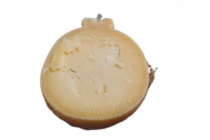 גבינת עיזים קשקבל אורגנית "גבעות עולם"