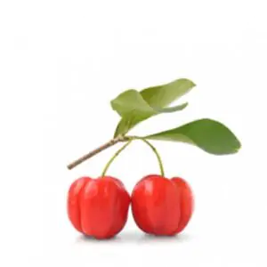 פיטנגו גיתית אורגני כ 125 גרם