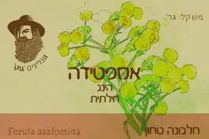 100% אספטידה הינג - גוט תבלינים