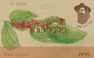 גרגירי פלפל שחור ביודינמי - גוט תבלינים
