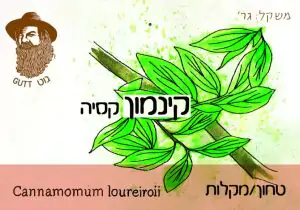 מקלות קינמון קסיה אורגנים - גוט תבלינים