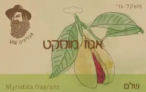 אגוז מוסקט שלם אורגני "גוט תבלינים"