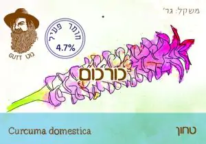 כורכום טחון קטן 50 גרם  - גוט תבלינים