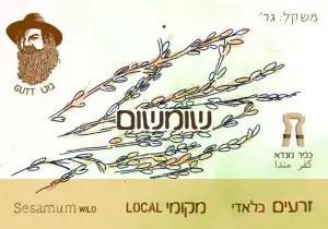 שומשום בלאדי 150 גרם - גוט תבלינים