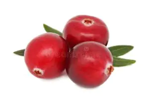 חמוציות טבעיות קפואות 300 גרם