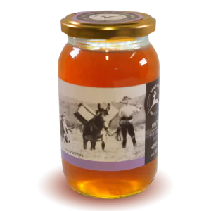 דבש מפרחי קיץ ודרדר חצי ק"ג - איילת השחר