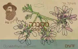 זרעי כוסברה שלמים  - גוט תבלינים