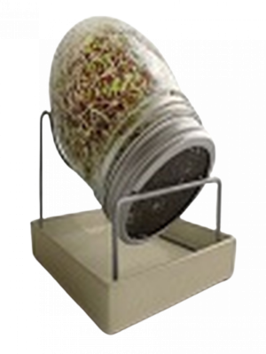 מנבטת זכוכית GEO - JAMMOKA