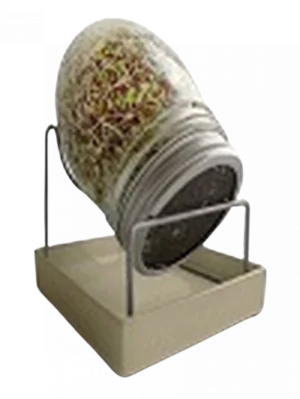מנבטה ביתית זכוכית GEO - JAMMOKA