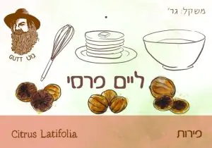 ליים פרסי אורגני ללא פיקוח - גוט תבלינים