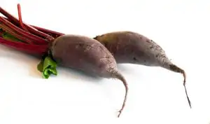 סלק מוארך אורגני