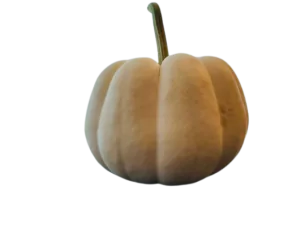 דלעת אוטם פרסט אורגני