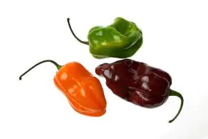 פלפל חריף הבנרו 100 גרם אורגני