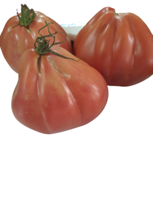 עגבנית לב השור אורגני