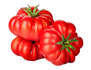 עגבניה לב השור אורגני