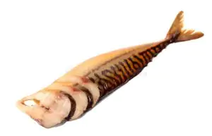 דג מקרל אטלנטי נקי בעישון קר ללא ראש בוואקום