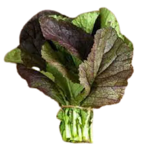 עלי חרדל אוסקה