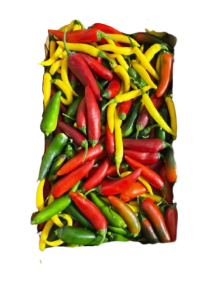 פלפל חריף אורגני מיקס 0.15 ק"ג