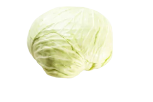 כרוב ערבי מלפוף אורגני