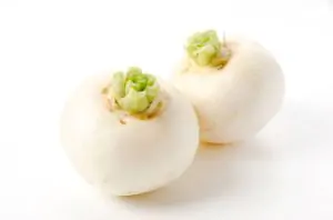 לפת לבנה מתקתקה  אורגנית מארז