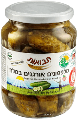 מלפפון במלח אורגני 670 גרם תבואות